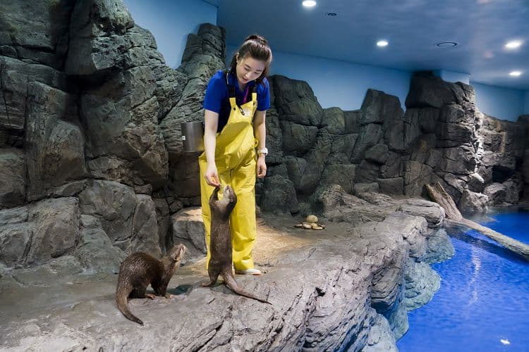 [Ilsan] Aqua Planet Discount Ticket