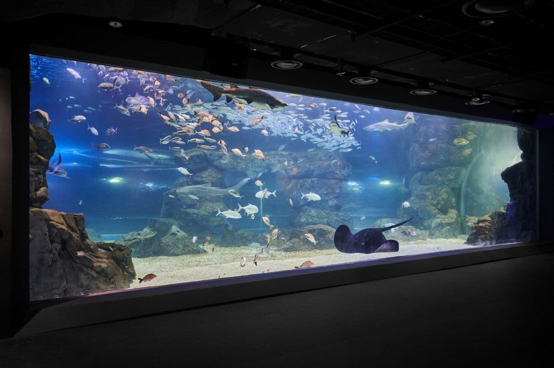 [Suwon] Gwanggyo Aqua Planet Discount Ticket