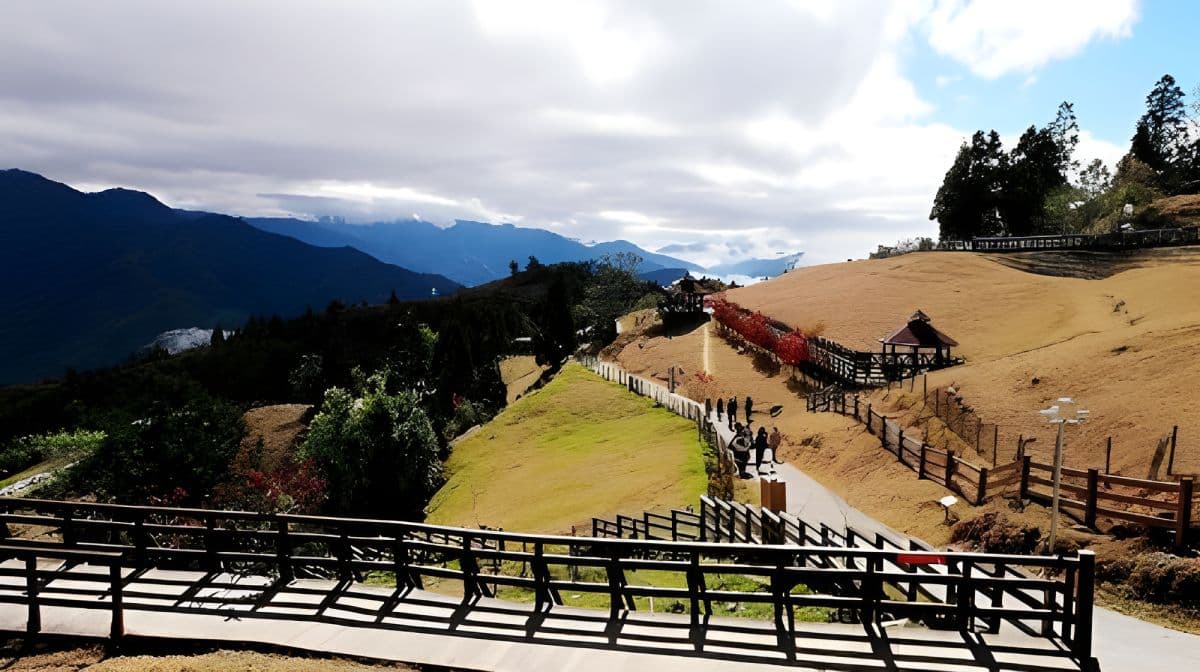 1-day tour to Qingjing Farm and Hehuan Mountain in Nantou, Taiwan [Departing from Taichung City] | Join-in tour buy 1 get 1 free Day Tours