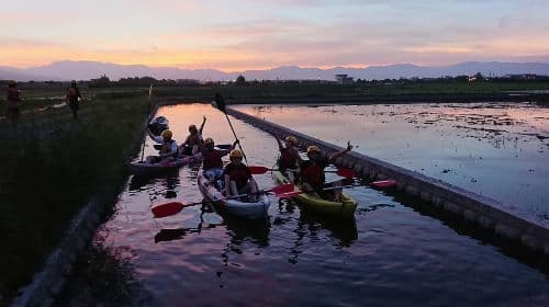 1-hour kayaking at Dongshan River Water Park [Yilan | Golden River Rice Paddies Canoeing Experience]