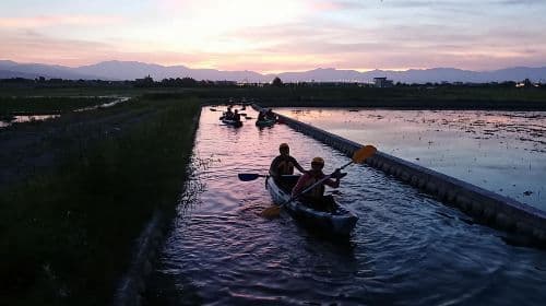 1-hour kayaking at Dongshan River Water Park [Yilan | Golden River Rice Paddies Canoeing Experience]