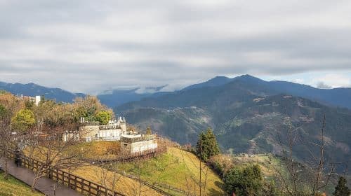 1D Tour to Cingjing Farm from Taichung  Day Tours