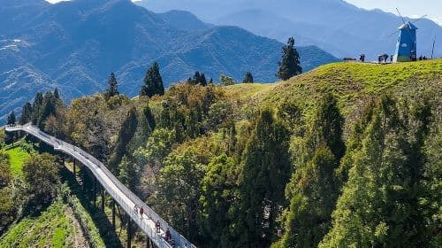 1D Tour to Cingjing Farm from Taichung  Day Tours