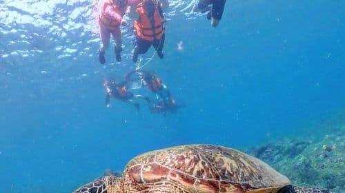 2-hour diving and snorkeling experience in Pingtung's Lambai Island [Lambai Island snorkeling experience with underwater photography service by Bear Diving]