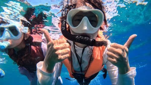 Expérience de plongée et de snorkeling de 2 heures à Lambai Island, Pingtung [Expérience de snorkeling à Lambai Island avec service de photographie sous-marine par Bear Diving]