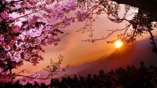 A must-buy transportation pass for independent travel in Taiwan | [Taiwan PASS] 3-in-1 version | Only for non-Taiwan residents