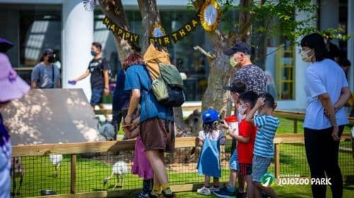 Babbuza Dreamfactory