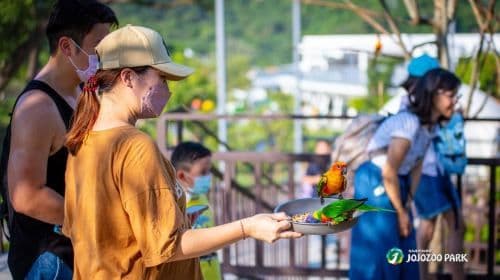 Babbuza Dreamfactory