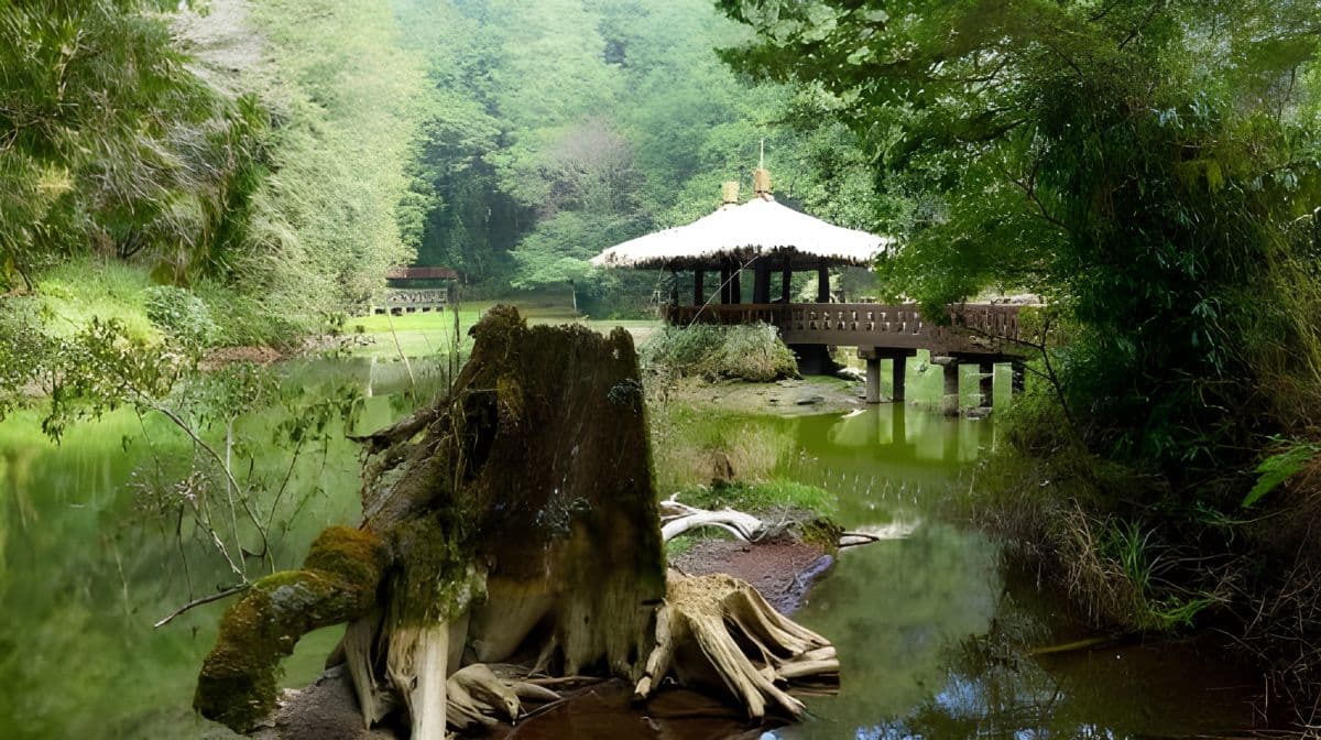 台中出发阿里山拼团一日游（含门票）