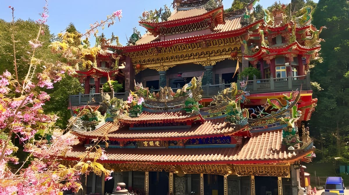 Alishan Join In Day Tour from Taichung (Incl. Park Entrance) Day Tours