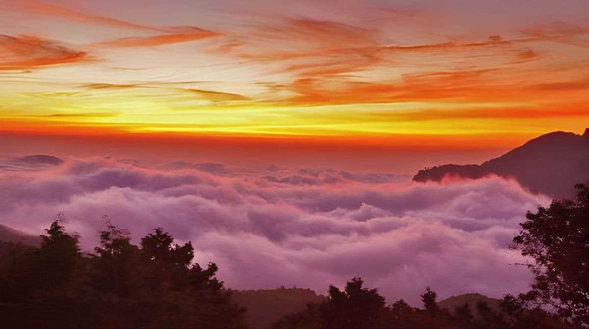 Alishan National Forest Recreation Area + Sisters Pond + Shouzhen Temple + Giant Trees + Small Train one-day tour Day Tours