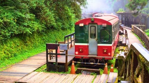 Alishan National Forest Recreation Area one-day tour[Taichung/Chiayi/Kaohsiung | Private private charter Guide] Day Tours