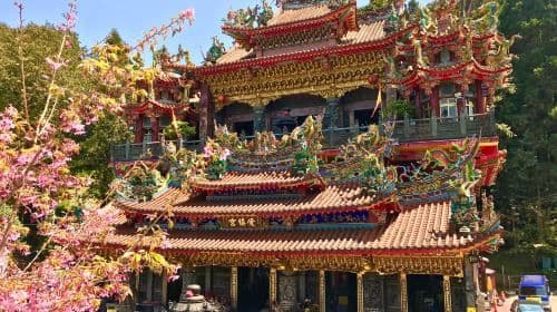 Alishan National Forest Recreation Area one-day tour[Taichung/Chiayi/Kaohsiung | Private private charter Guide] Day Tours