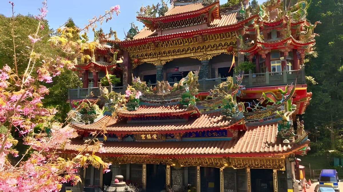 Alishan National Forest Recreation Area one-day tour[Taichung/Chiayi/Kaohsiung | Private private charter Guide] Day Tours
