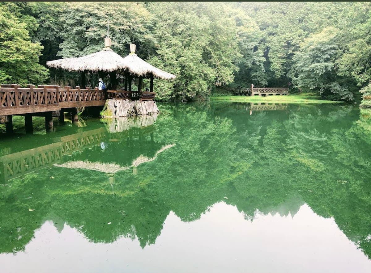 Alishan National Scenic Area