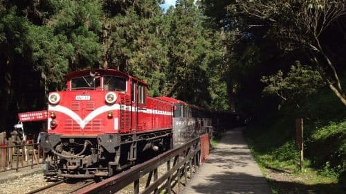 Alishan National Scenic Area Day Tour from Taichung Day Tours