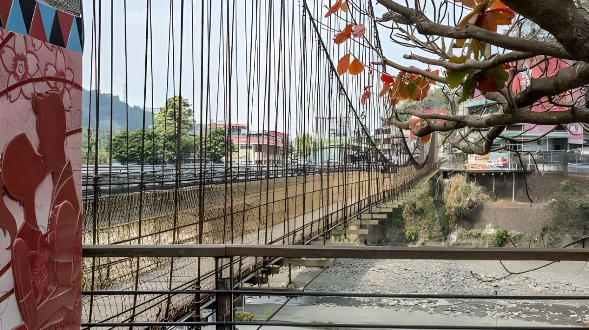阿里山国家风景区一日游（台中出发）