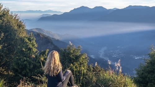 Alishan One Day Tour from Taichung Day Tours