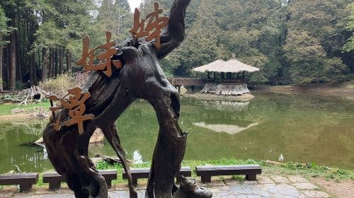 Alishan One Day Tour from Taichung Day Tours
