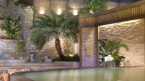 Beitou Spring Hotel Red Cypress Club Public Nude Bath + Cypress Oven + Steam Room + Slate Bath + Outdoor Swimming Pool + Gym (No additional charge on holidays)