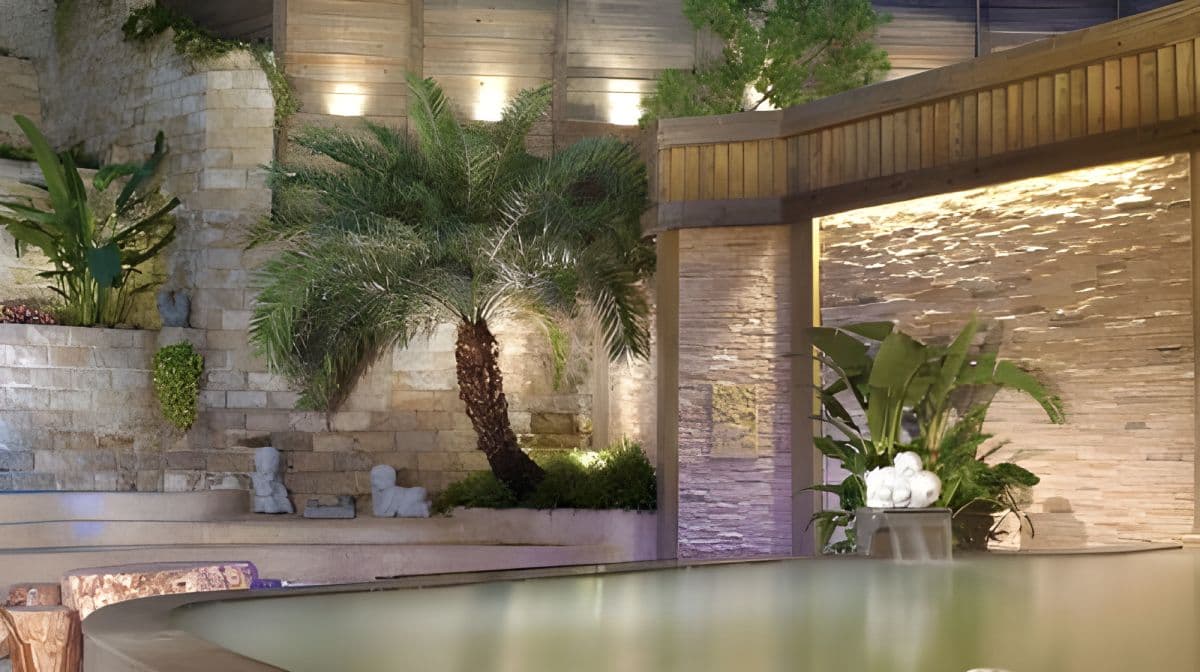 Beitou Spring Hotel Red Cypress Club Public Nude Bath + Cypress Oven + Steam Room + Slate Bath + Outdoor Swimming Pool + Gym (No additional charge on holidays)