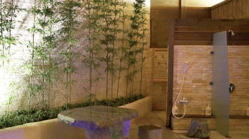 Beitou Spring Hotel Red Cypress Club Public Nude Bath + Cypress Oven + Steam Room + Slate Bath + Outdoor Swimming Pool + Gym (No additional charge on holidays)