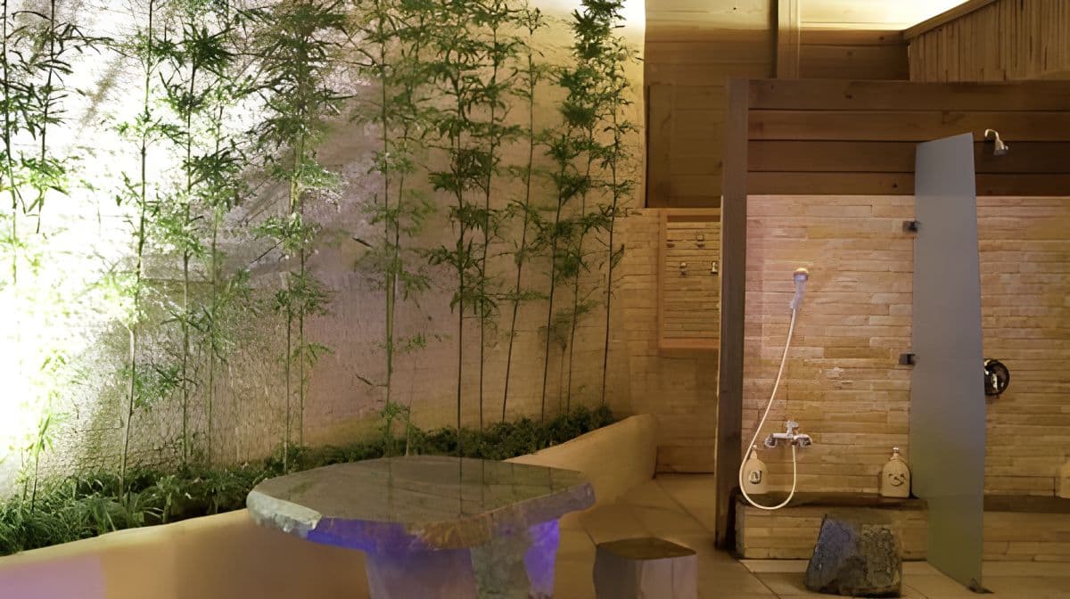 Beitou Spring Hotel Red Cypress Club Public Nude Bath + Cypress Oven + Steam Room + Slate Bath + Outdoor Swimming Pool + Gym (No additional charge on holidays)