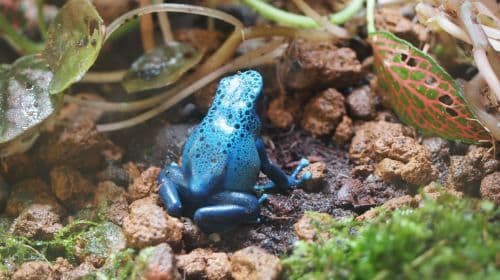 Botanical Garden of National Museum of Nature Science