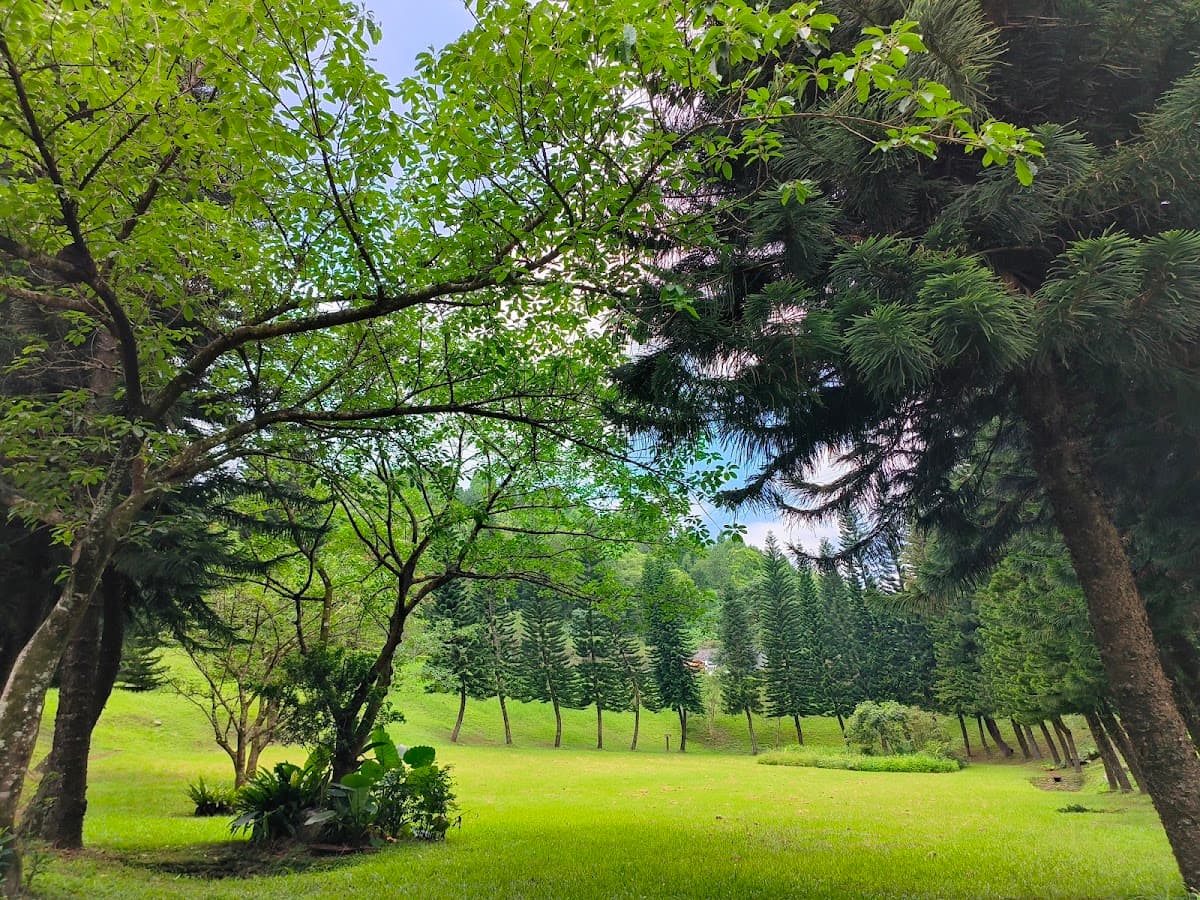 Chinan National Forest Recreation Area