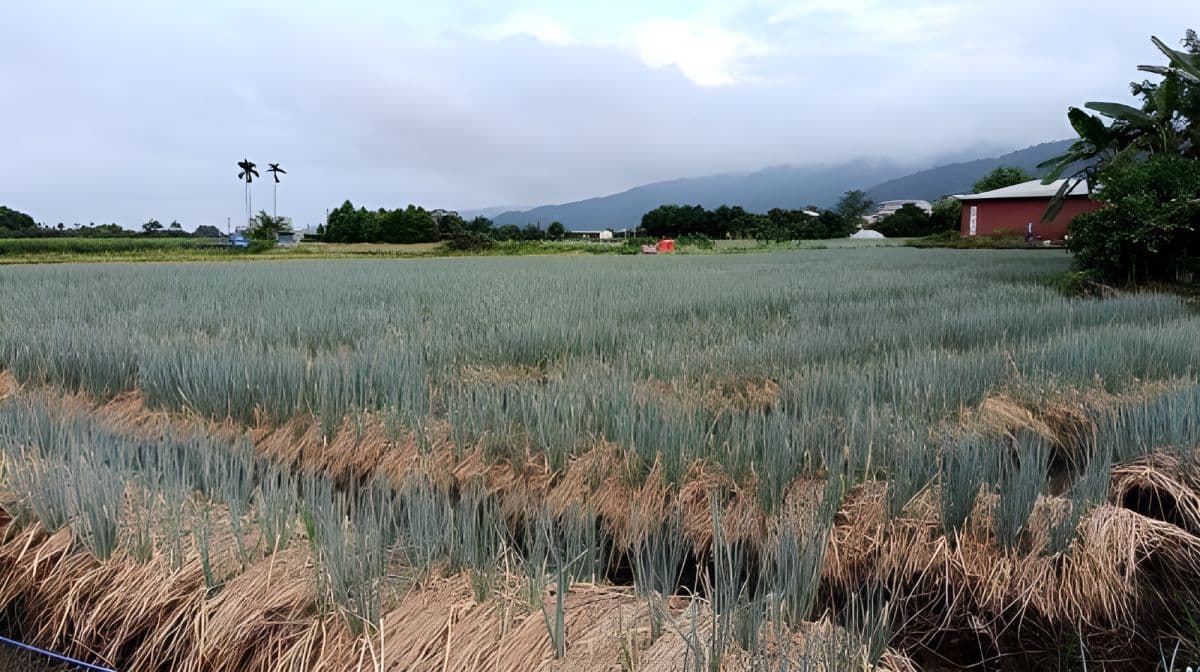 Chumi Experience Farm