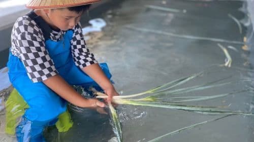 Chumi Experience Farm