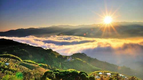 Chiayi: Alishan Day Tour (Departing from Taichung/Chiayi/Kaohsiung) Day Tours