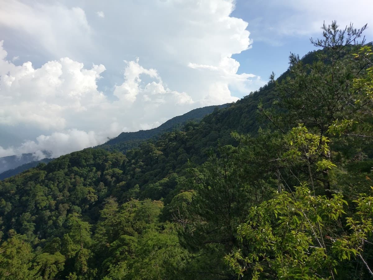 Daxueshan National Forest Recreation Area