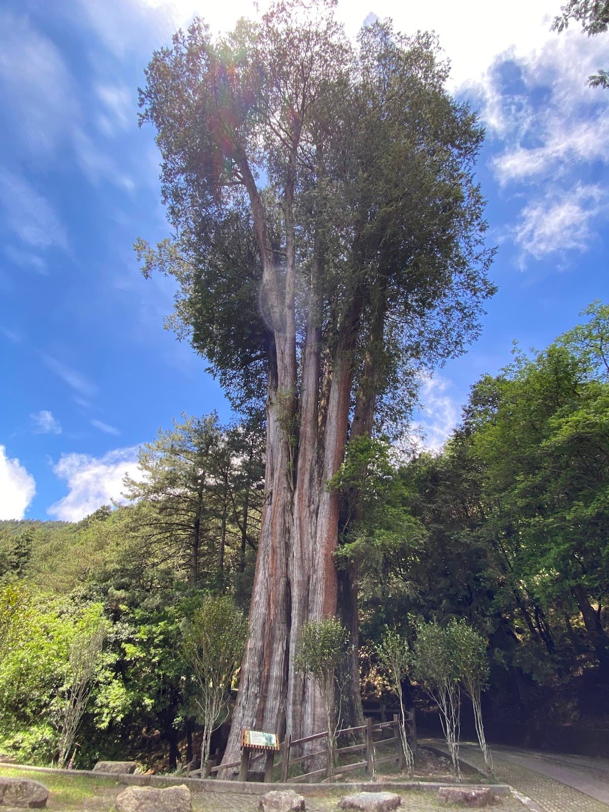 Daxueshan National Forest Recreation Area
