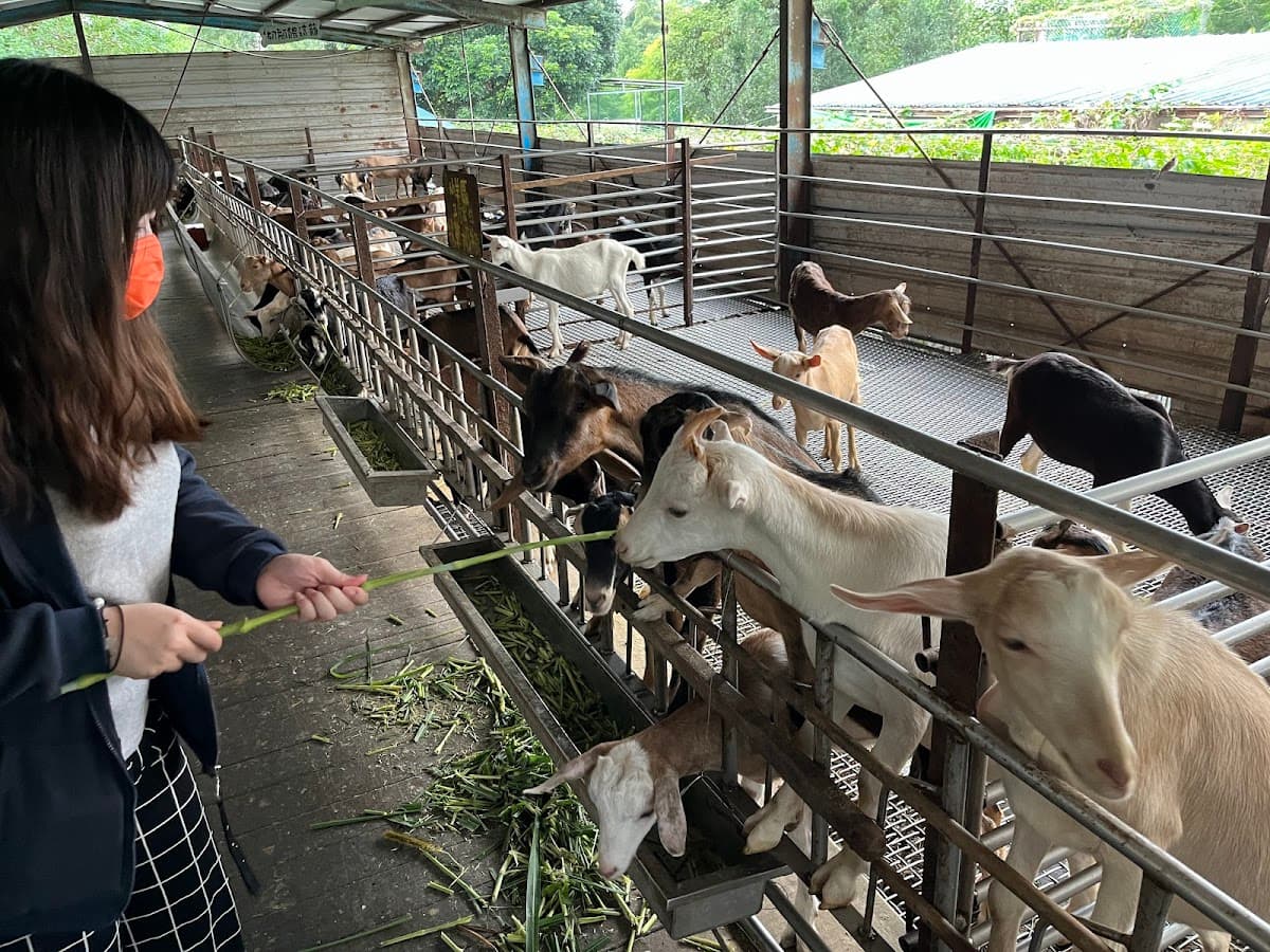 E-Long Goat Farm