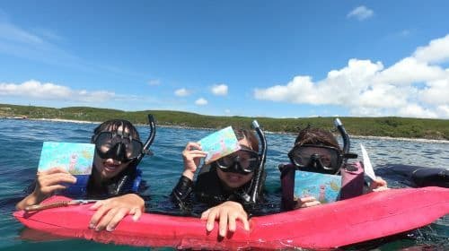 Penghu Islands diving and snorkeling experience 2 hours [Poseidon Undersea Mailbox Snorkeling Experience | Undersea Mailbox Postcard]