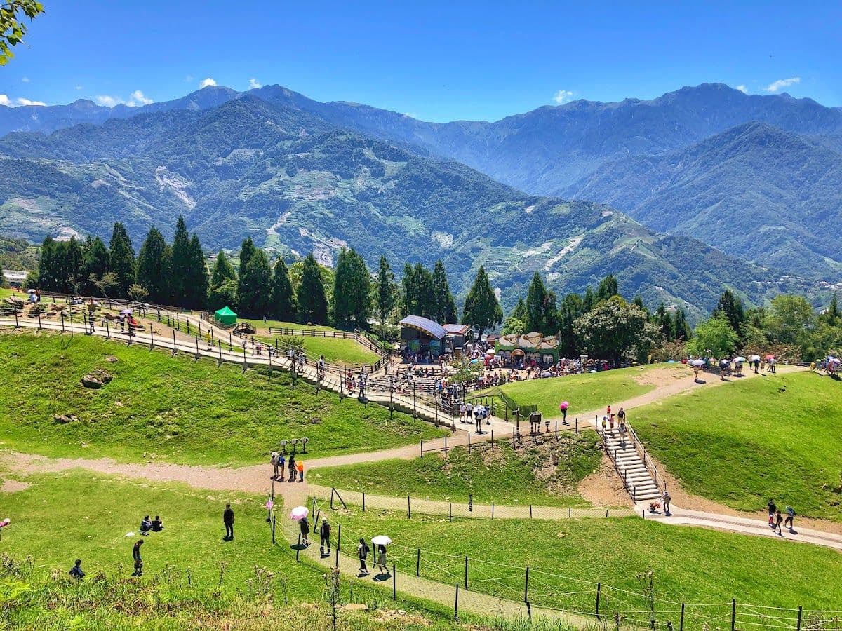 Qingjing Leisurely Tour to Three Scenic Spots · Mountain Mist Aesthetics ~ Qingjing Farm + Skywalk + Little Switzerland Garden Day Tour Day Tours