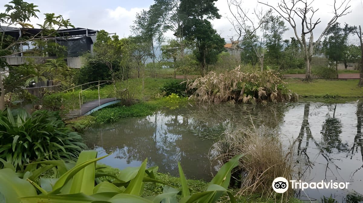 Sheng Yang Leisure Farm