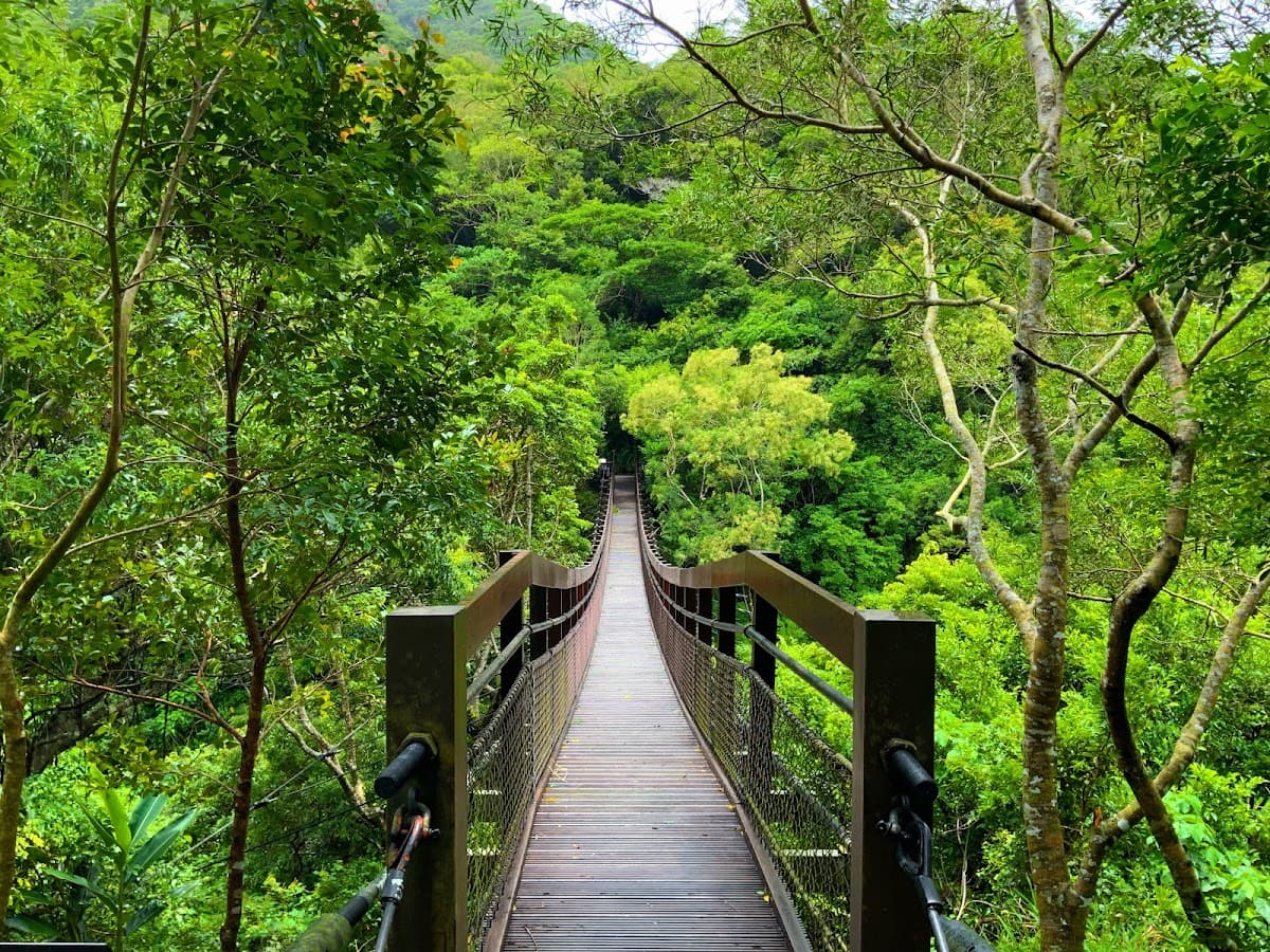 Shuangliu National Forest Recreation Area