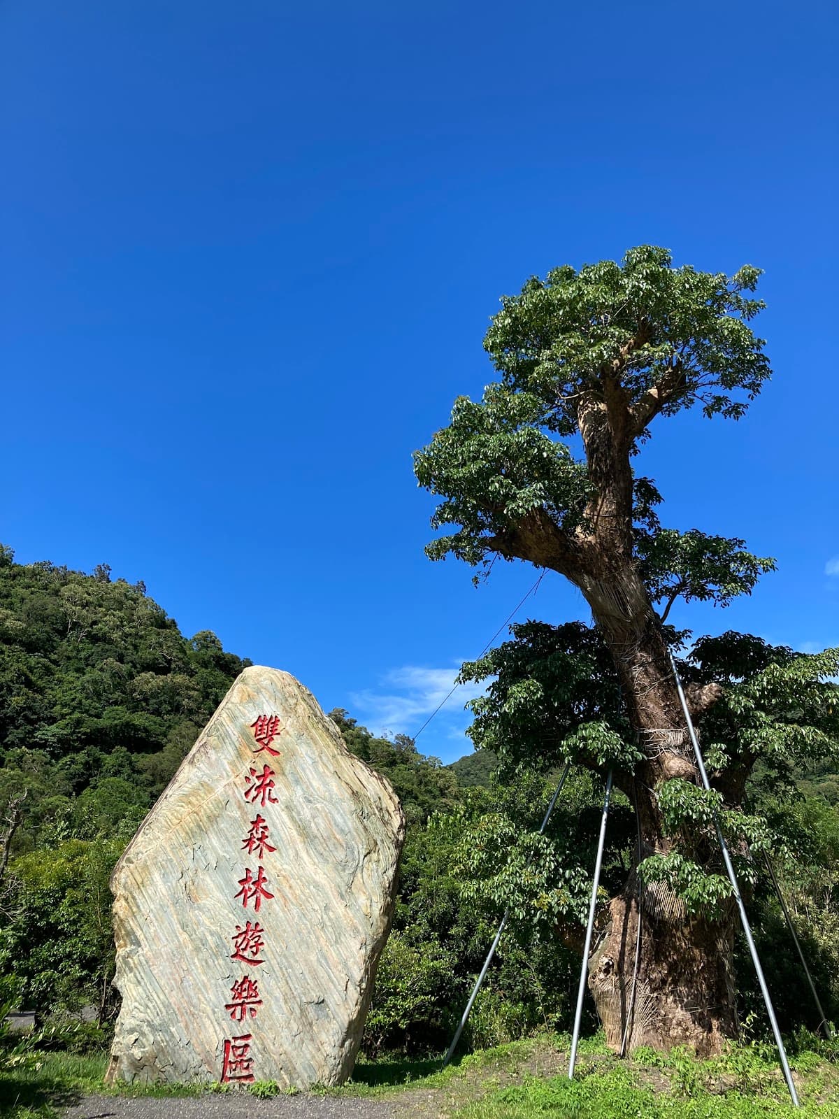 Shuangliu National Forest Recreation Area