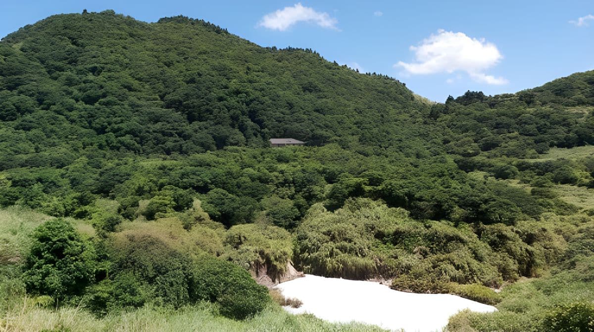 Kleingruppen-Tagestour: Beitou und Yangmingshan ab Taipeh