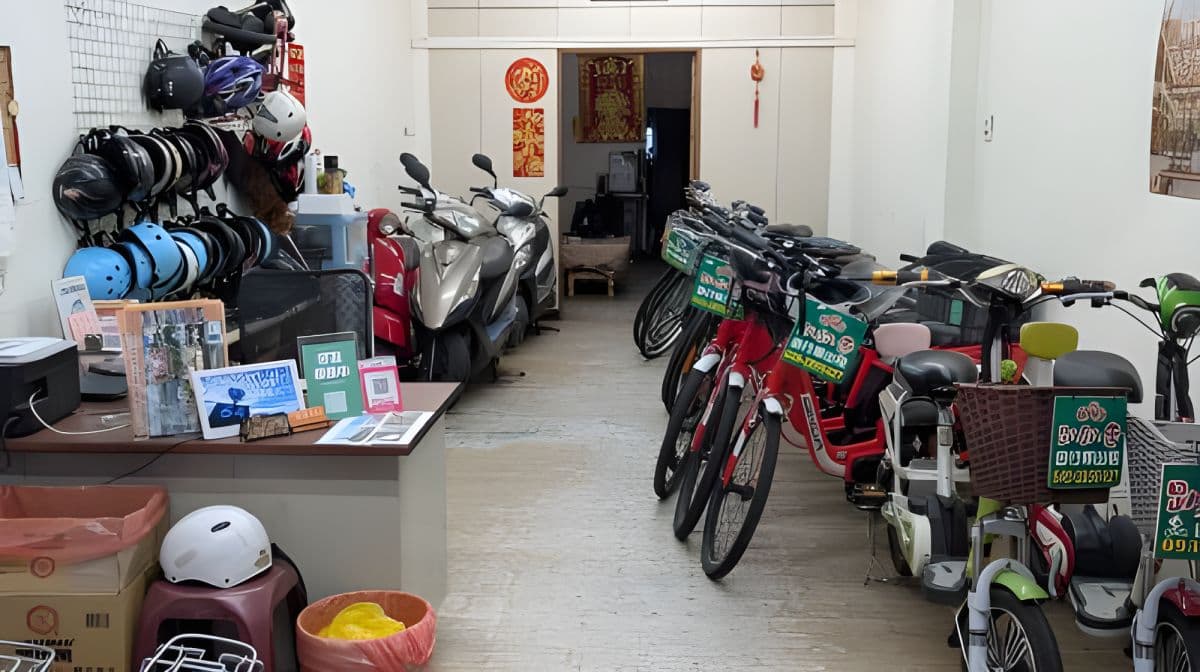 Sun Moon Lake Fahrrad- & E-Fahrzeugverleih mit optionalem Bootsticket