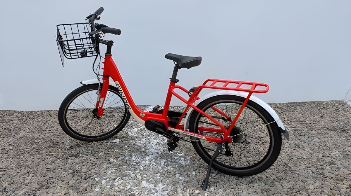 Sun Moon Lake Fahrrad- & E-Fahrzeugverleih mit optionalem Bootsticket
