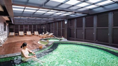 Sun Moon Lake Lealea Wyndham Hot Spring Hotel 2-person public hot spring bathing for 120 minutes (no holiday surcharge)