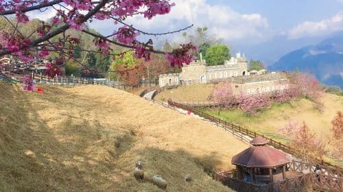 Sun Moon Lake, Qingjing Farm Day Tour [Taichung City Hotel Pickup] Day Tours