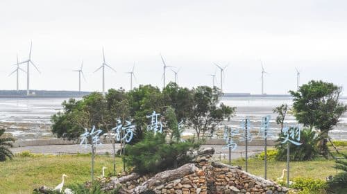 Taichung Gaomei Wetland Half Day Tour [Depart from Taichung | Gaomei Special Car] Day Tours