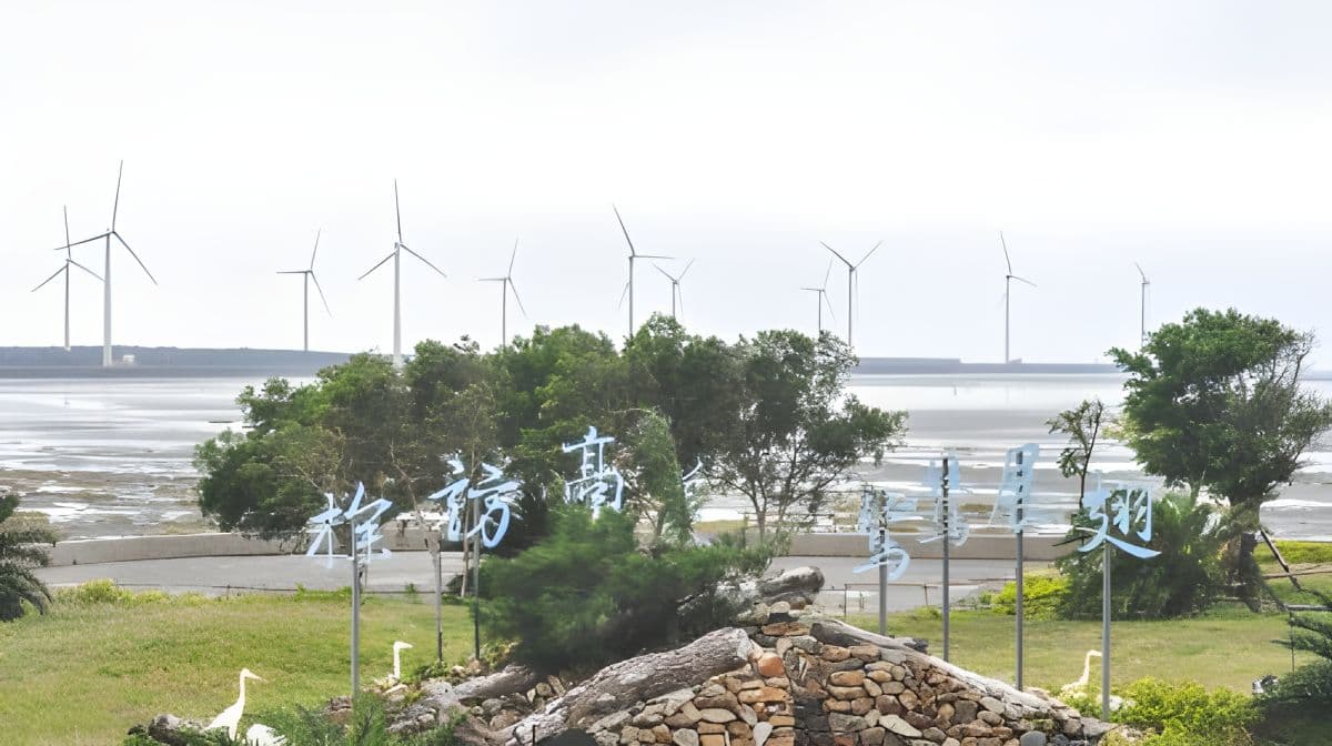 台中高美湿地半日游 [台中出发 | 高美专车] 日游
