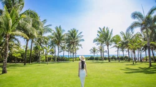 Taichung Travel Photography[Driver and guide + travel photography + wedding photos, aerial photography, micro-film + makeup and clothing + itinerary customization]