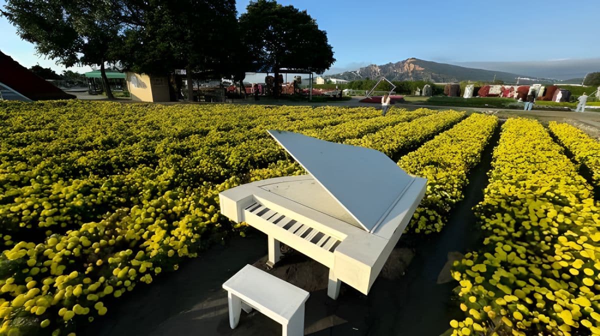 Taichung Zhongshe Flower Market + Miyahara Ophthalmology + Gaomei Wetlands one-day tour [departing from Taipei Ximen] with free bubble tea Day Tours