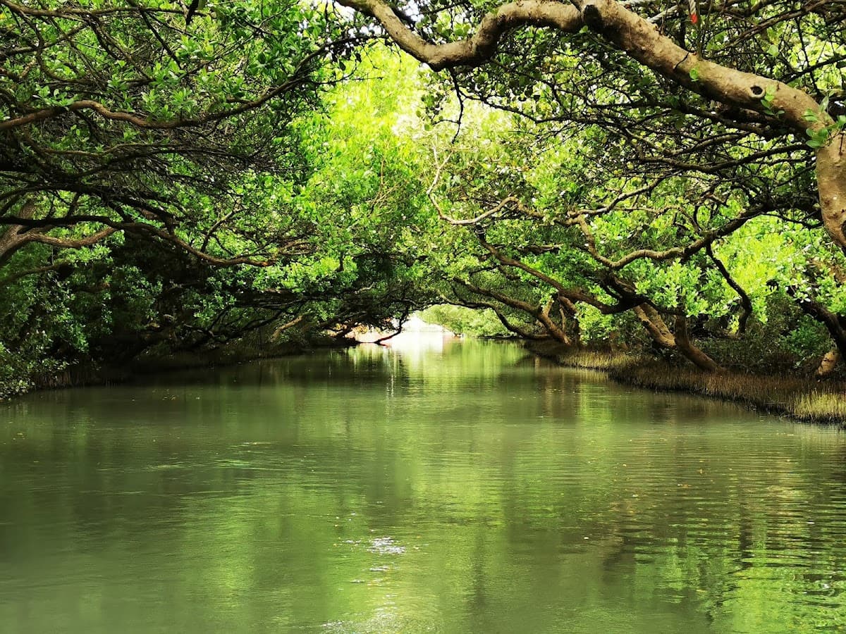Taijiang National Park
